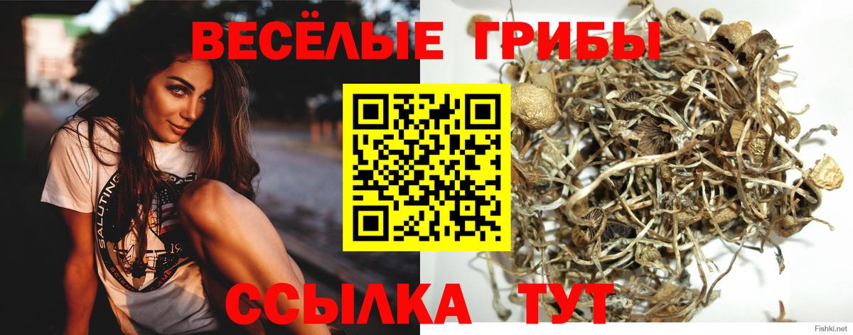 Псилоцибиновые грибы ЛСД Новозыбков