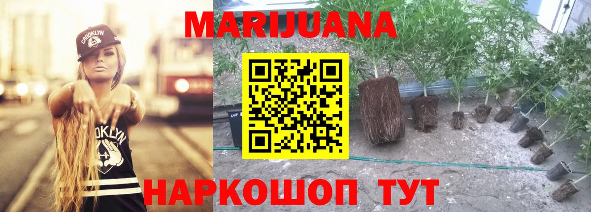 Конопля марихуана Новозыбков